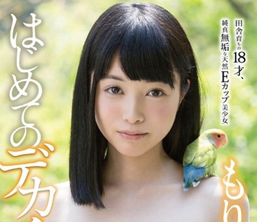 STAR-707 もりの小鳥 はじめてのデカチン